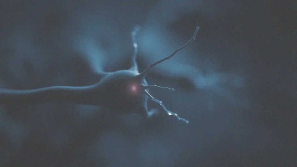 Jak nikotyna uzależnia?