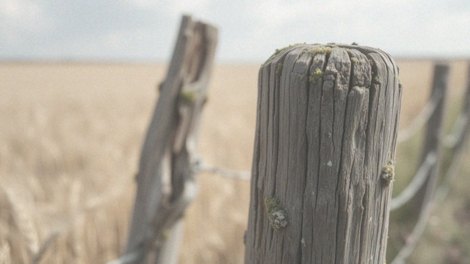 Jakie czynniki genetyczne mogą prowadzić do raków skóry?