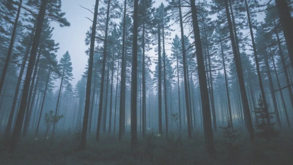 Kiedy możemy spodziewać się kontynuacji historii z pierwszego Avatara?