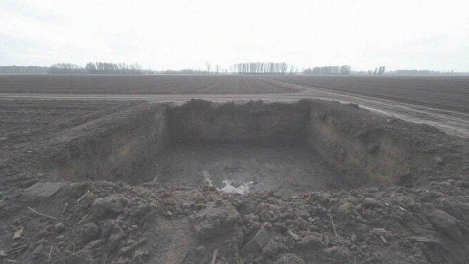 Ile kosztuje wykopanie szamba? Przewodnik po cennikach