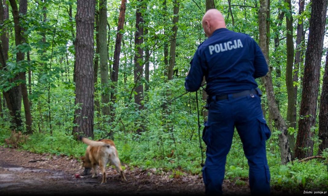 Pijany kierowca spowodował kolizję w Zalesiu Królewskim