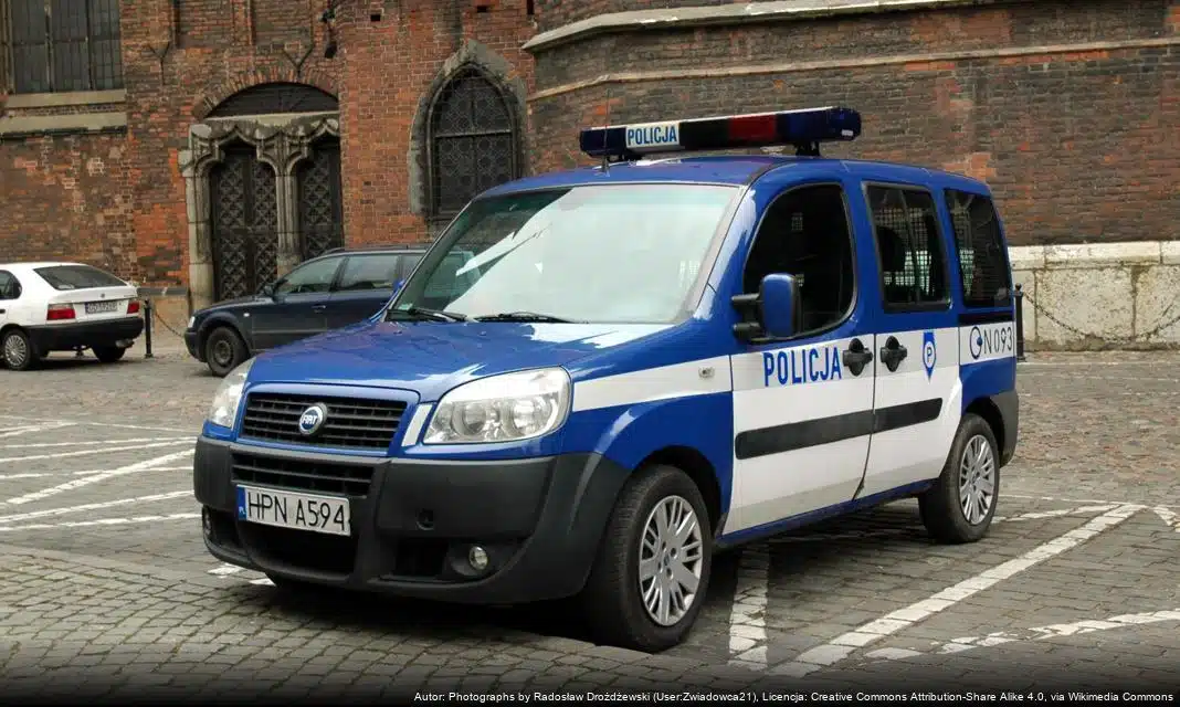 Niebezpieczne zachowania pieszych na drodze ekspresowej S5 w powiecie świeckim