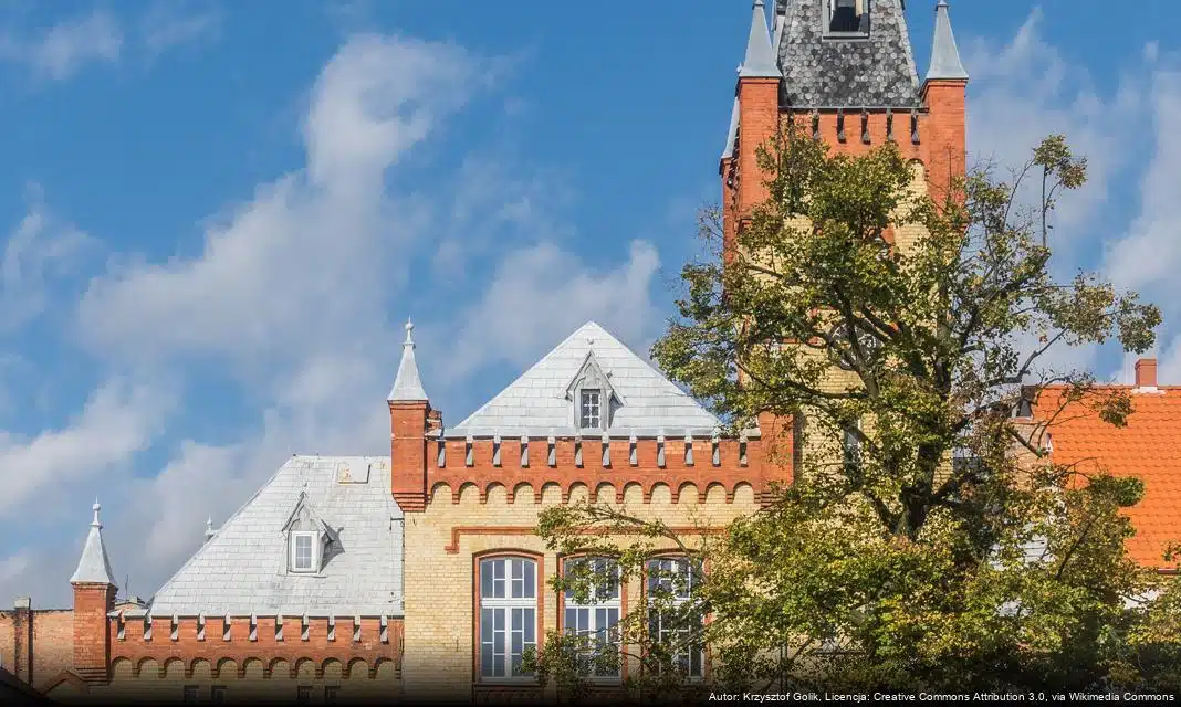 Bal karnawałowy w Dziennym Domu Pomocy w Świeciu