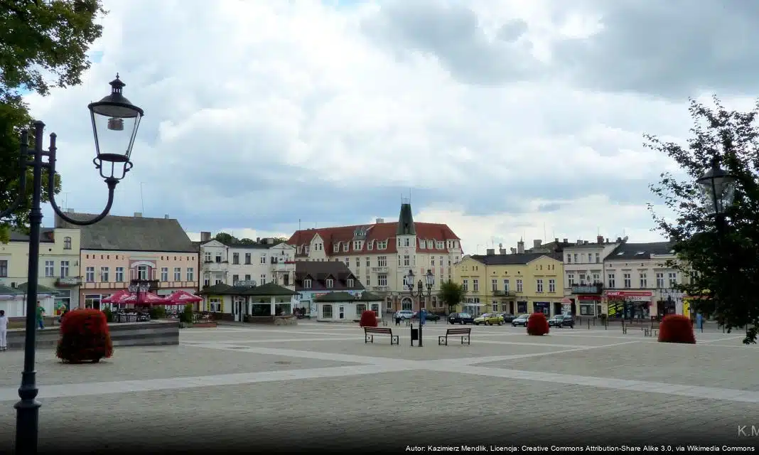 XX Sesja Rady Miejskiej w Świeciu – Plan obrad