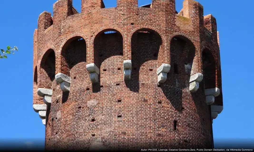 Pisklę poznaje zwyczaje wigilijne – świąteczna opowieść dla dzieci