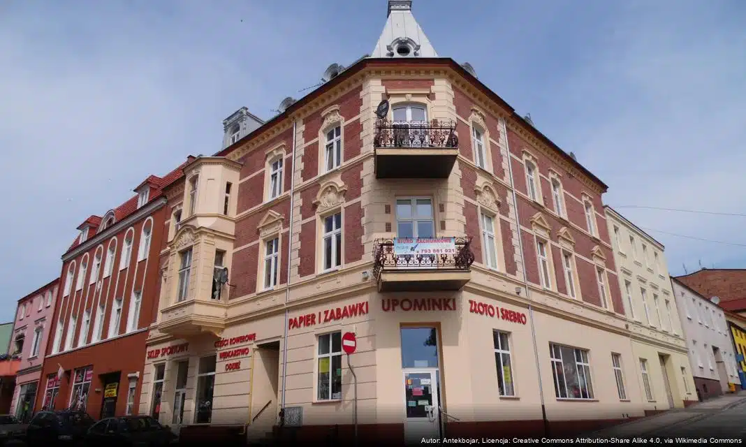 Nowe zarządzenie dotyczące odstrzału dzików w powiecie świeckim