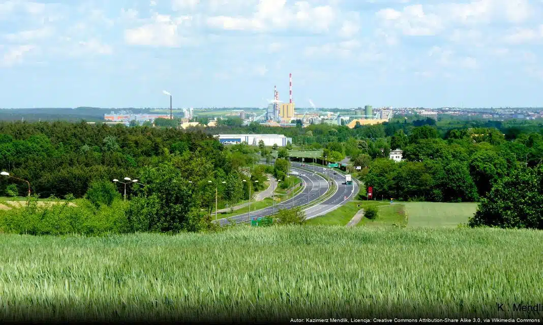 Nabór do II turnusu Dobrowolnej Zasadniczej Służby Wojskowej