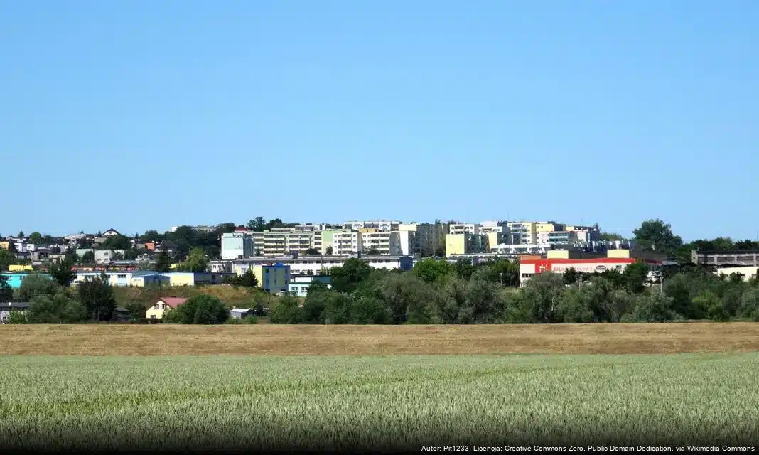Wzmożone działania Straży Miejskiej w związku z niskimi temperaturami